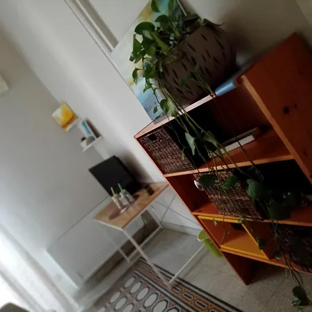 Ohana Jing * Palermo
